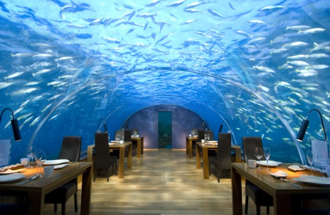 An underwater restaurant in the Maldives.