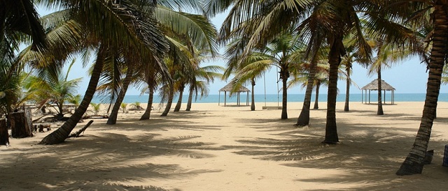 Coconut beach