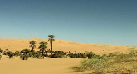 Surame Cultural Landscape, sokoto-dessert