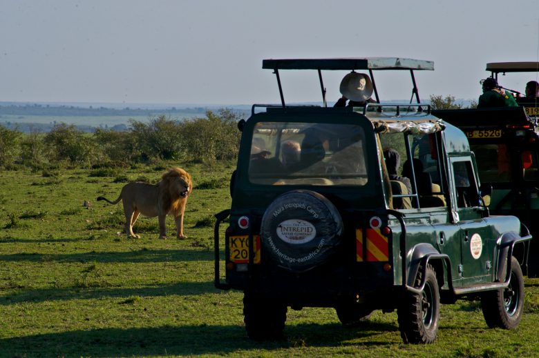 Kenya-Travelstart-Safari