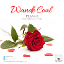 @wandecoal