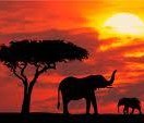 kenya_travels