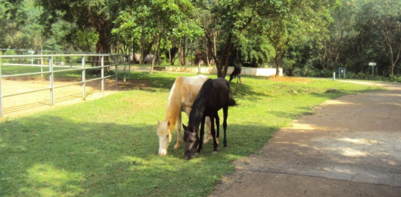 worker day-abuja zoo-travelstart