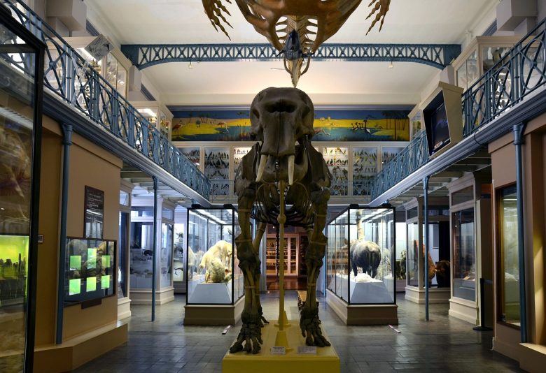 Museum of Natural History, Paris