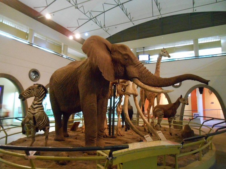 Nairobi Museum