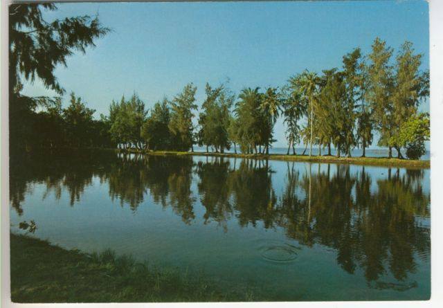 A view from Ikoyi Park, Lagos