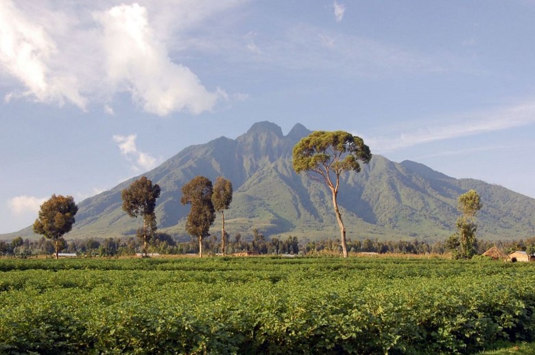 Virunga Mountains