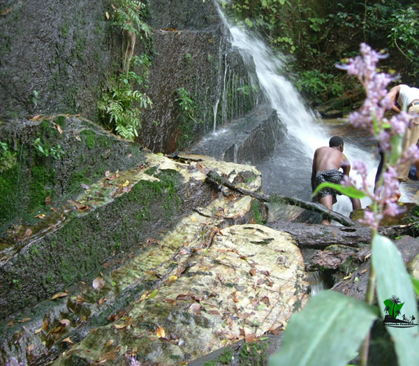 Arinta Waterfall