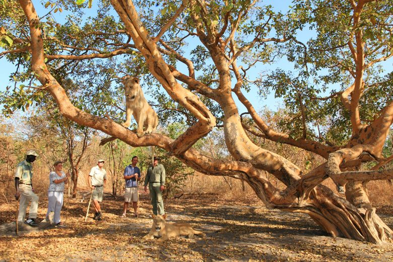 Fathala Wildlife Reserve