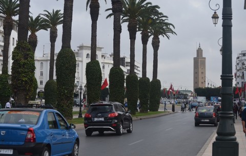 A road with tall palm trees and cars driving in Rabat-Morocco