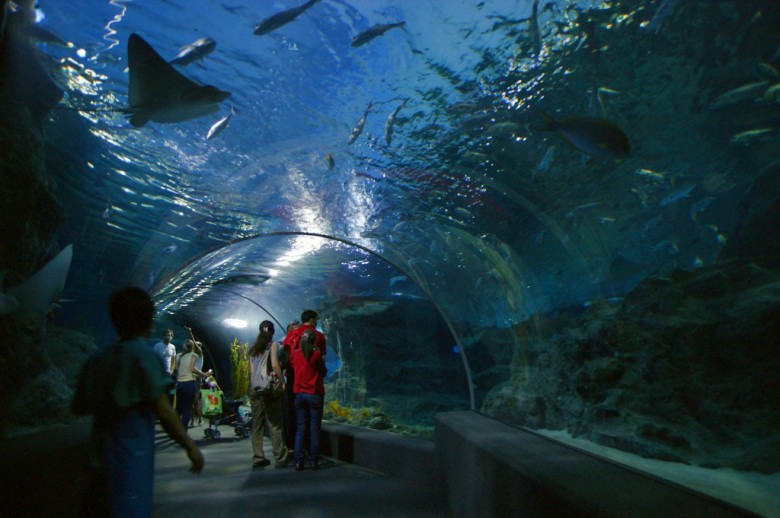 Siam Ocean world