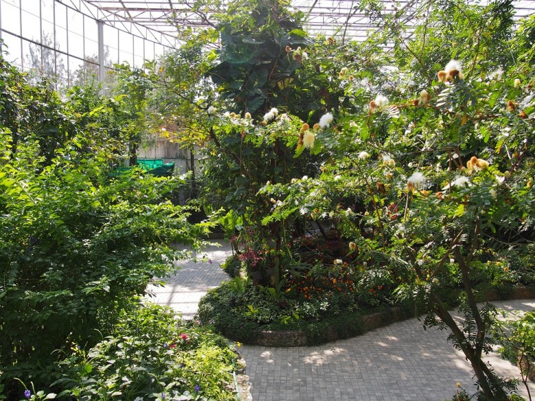 Butterfly Garden and Insectarium