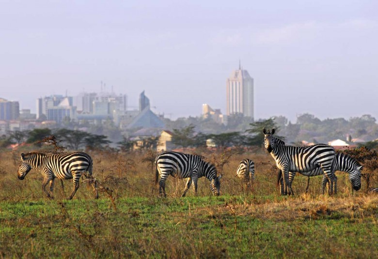 Nairobi-National-Park-780x536
