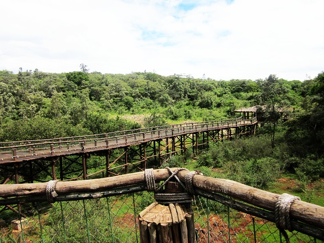 Nairobi-Safari-Walk