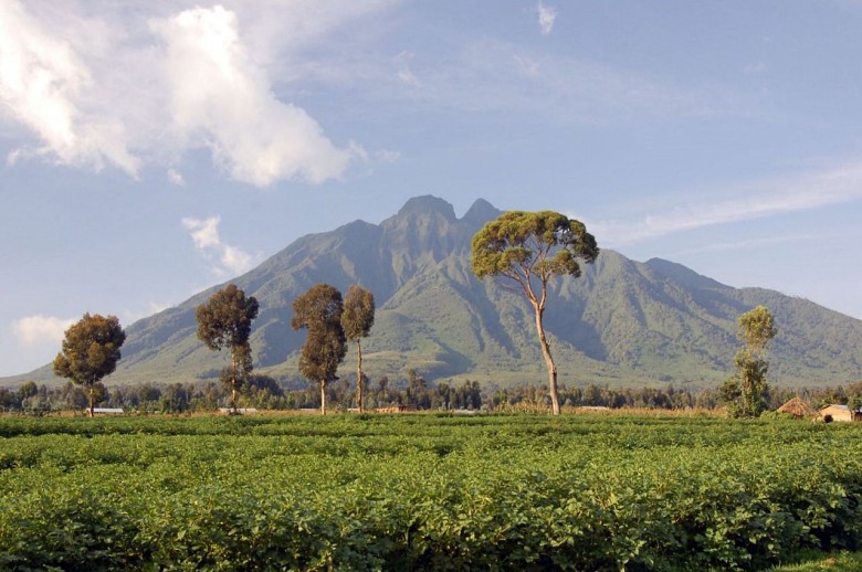 Virunga Mountain Range, Volcanoes National Park