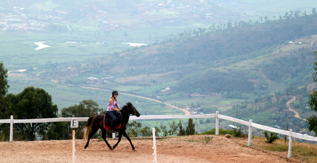 horseback riding