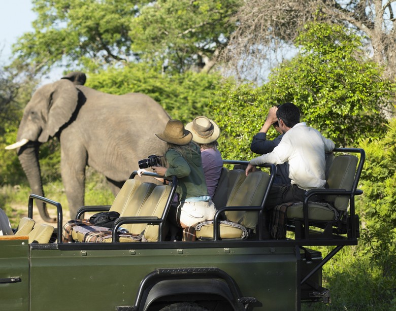 Africa-Safari-780x613