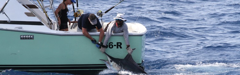 Game Fishing in Cape Verde