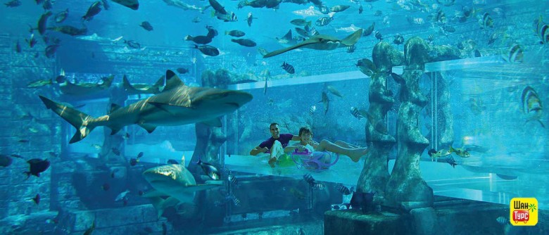 Aquaventure in Atlantis The Palm-Travelstart