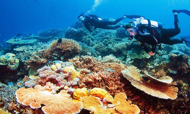 The Great Barrier Reef-Travelstart-Fast-Changing Destination