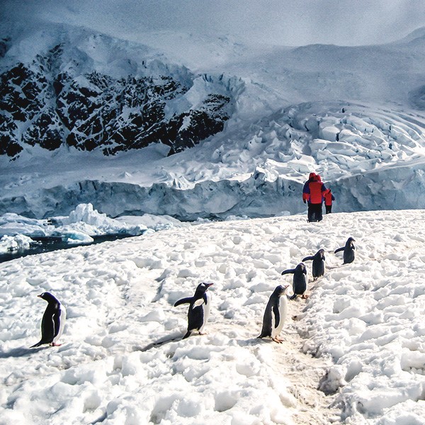 AntarcticaTravelstart-fast-changing destination
