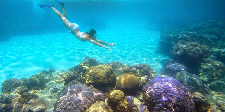 Exotic coral reefs-Travelstart-Easter Holiday