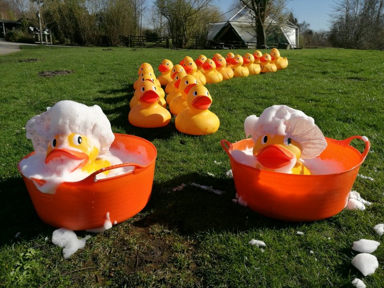 Duck hunting-Travelstart-Easter