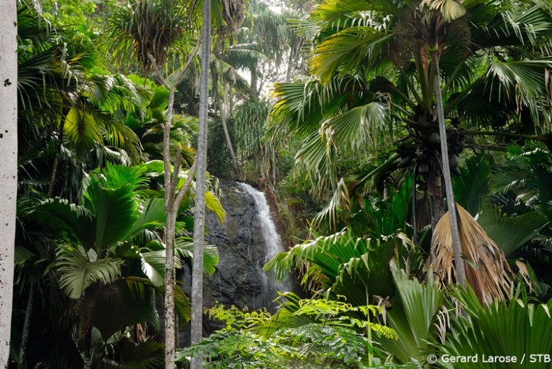 Waterfall-Vallee-de-Mai-Seychelles-Travelstart-Nigeria