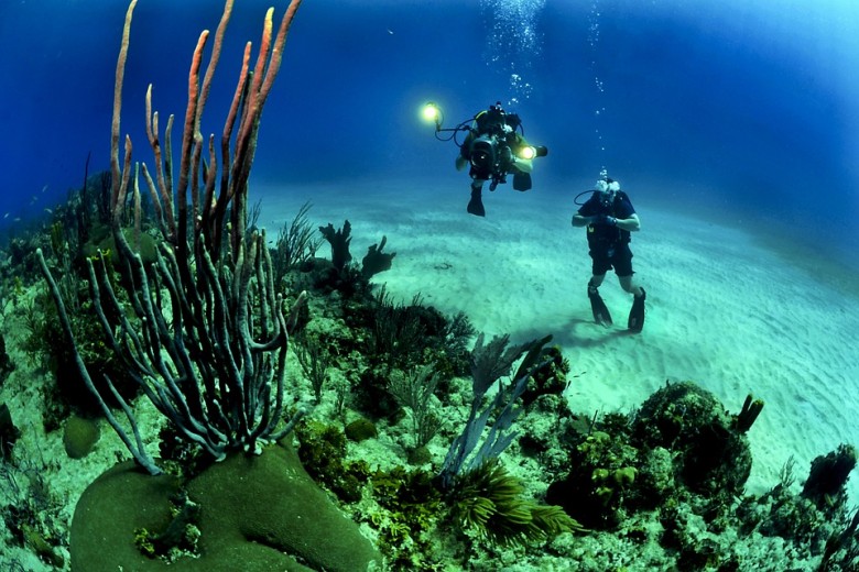 coral reef- Mauritius-travelstart