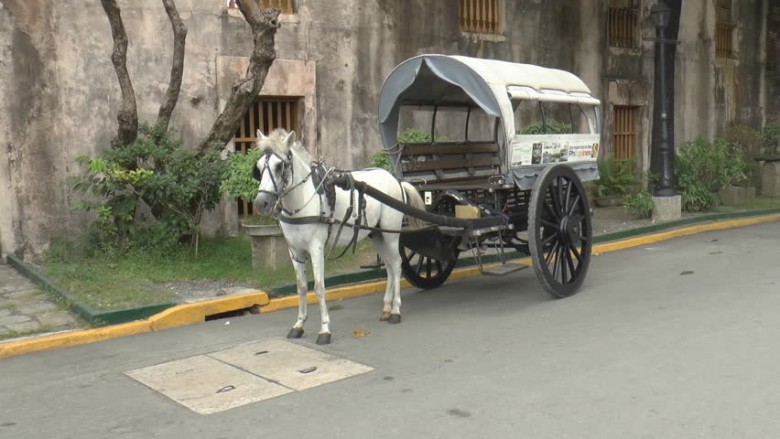  traditional horse buggy-7days in alluring mumbai-travelstart