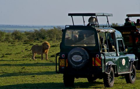 Kenya-Travelstart-Safari