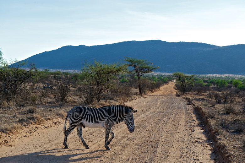 Kenya-Travelstart-Safari