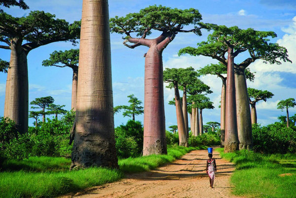Madagascar-Travelstart-unique attraction