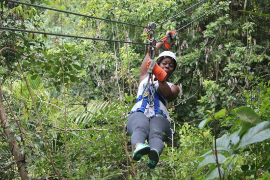 zipline-barbados-travelstart