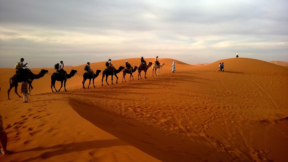 camel backriding-iran-travelstart