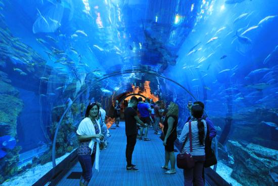 Underwater-travelstart-Dubai