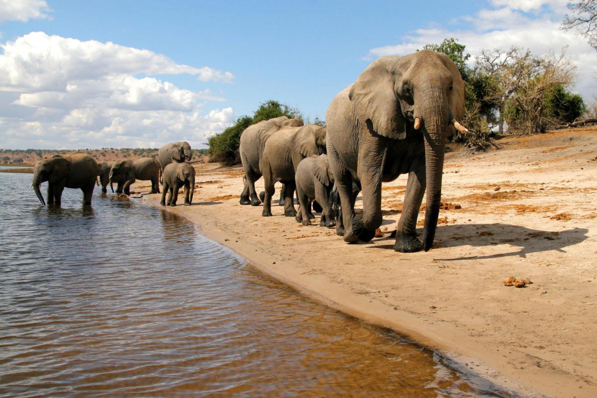 travelstart-botswana