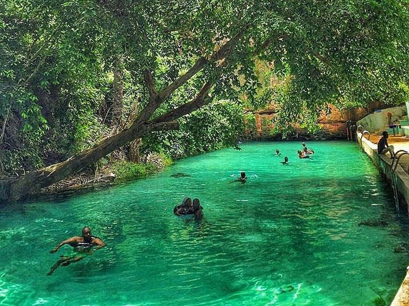 Yankari National Park