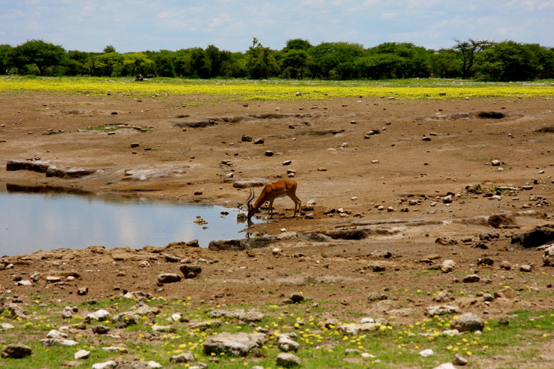 namibia trip