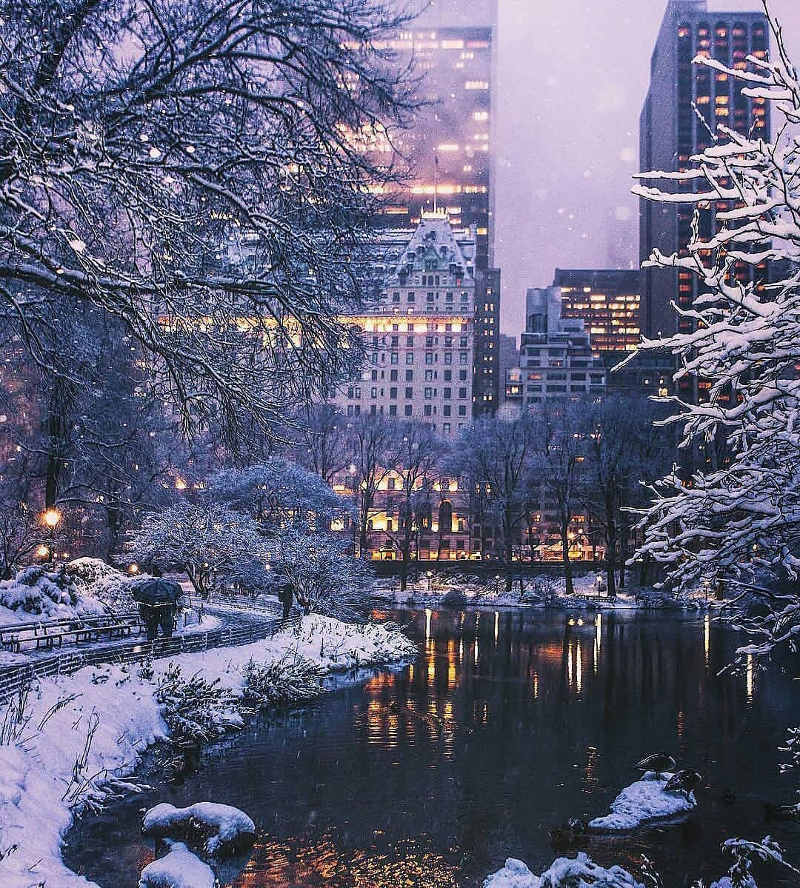 new york winter