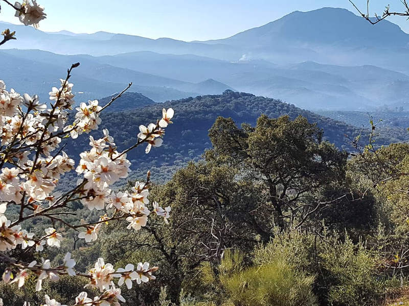 spain-weather-spring