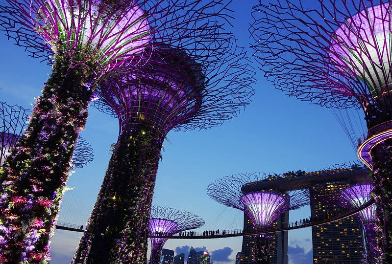 Garden by the bay Singapore