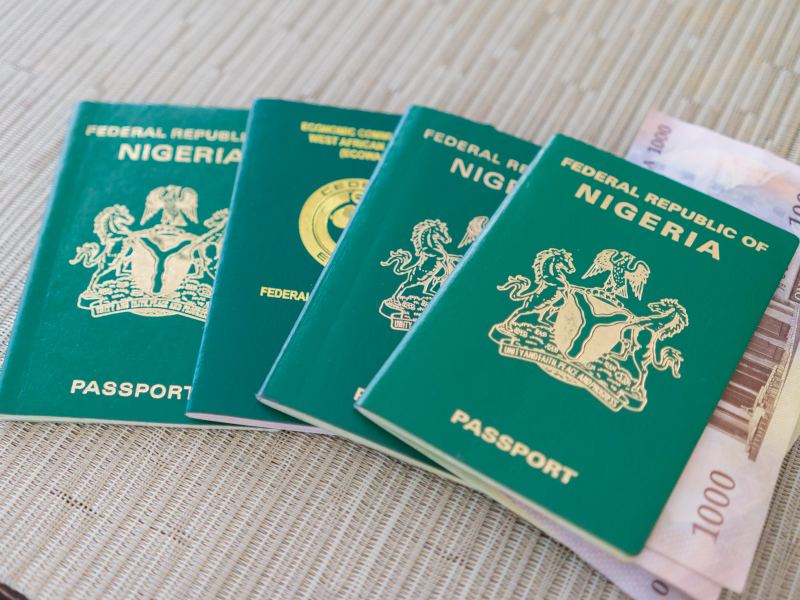 Nigerian passports with naira