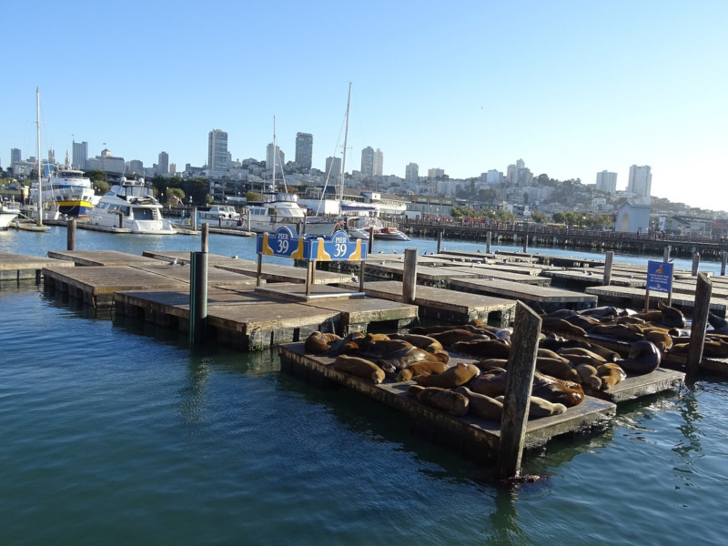 Pier 30 at the Fisherman's Wharf