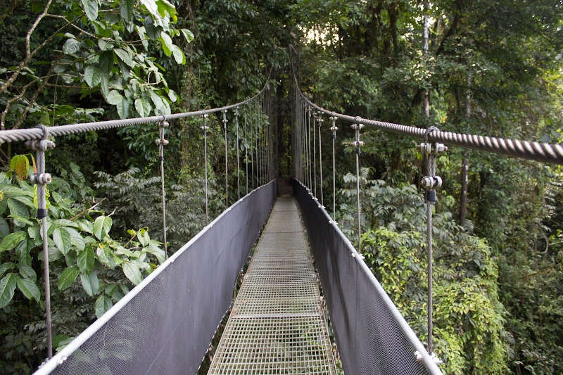 Lekki conservation centre