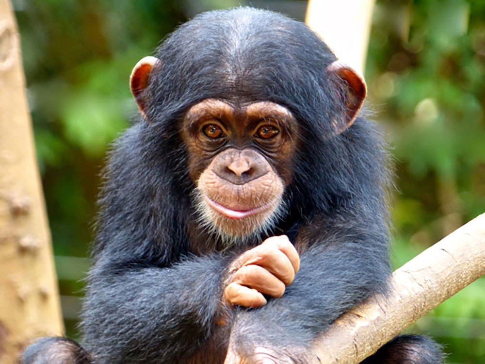 wild beauties-travelstart-sierra leone