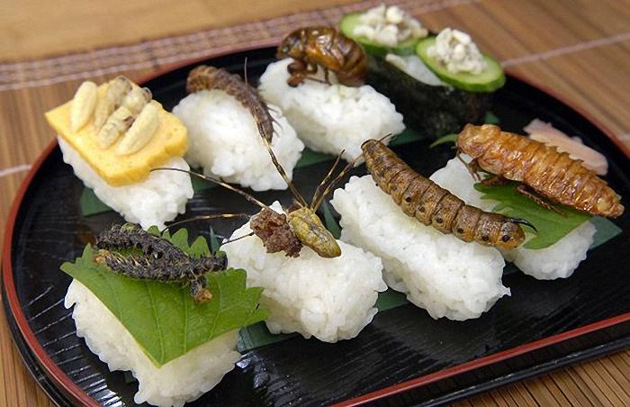 Bugs and Insects