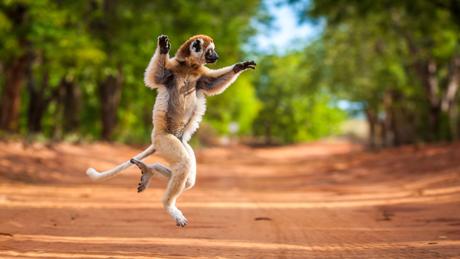 Travelstart-madagascar