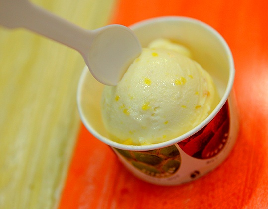 natural fruit icecream-7days in alluring mumbai-travelstart