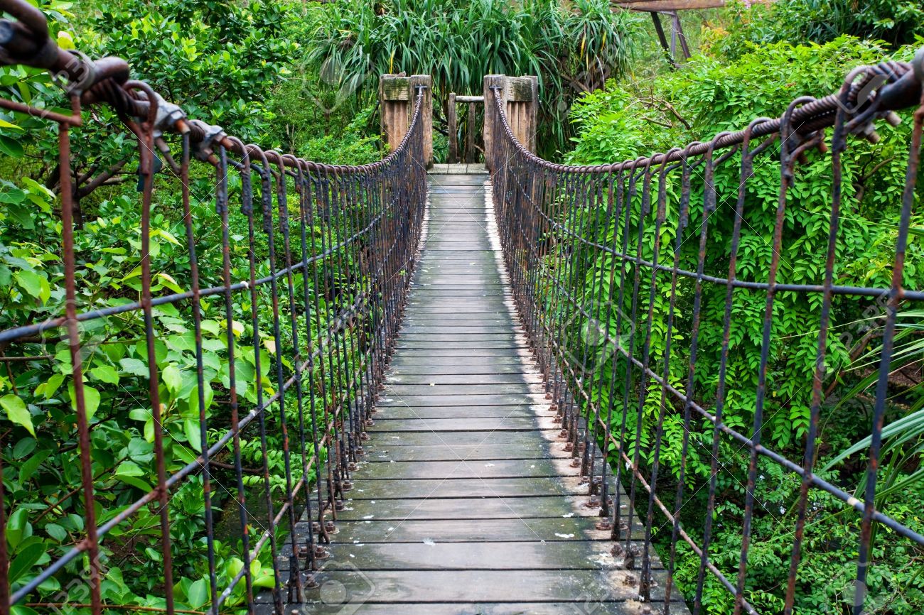 canopywalk-ghana-travelstart